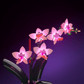 Light Kit for LEGO® Mini Orchid
