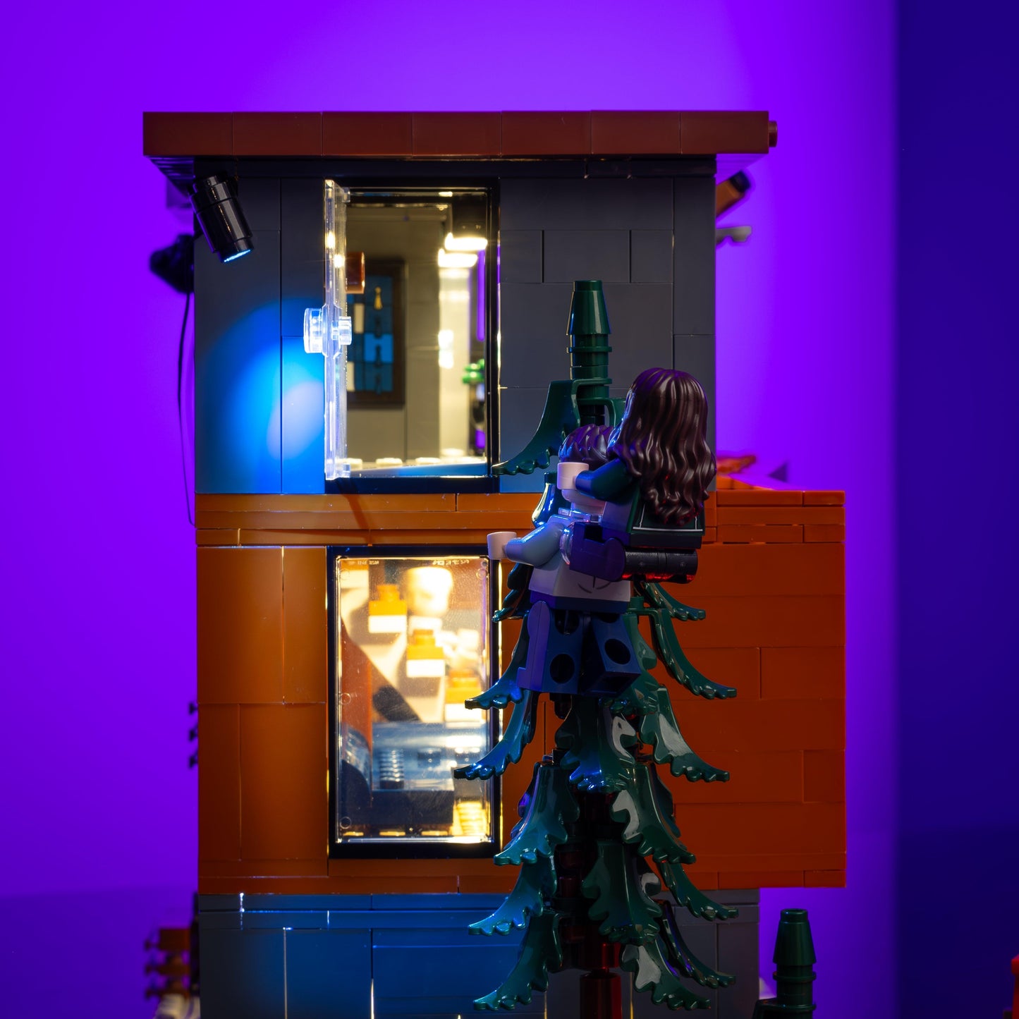 Light Kit for LEGO® Twilight The Cullen House