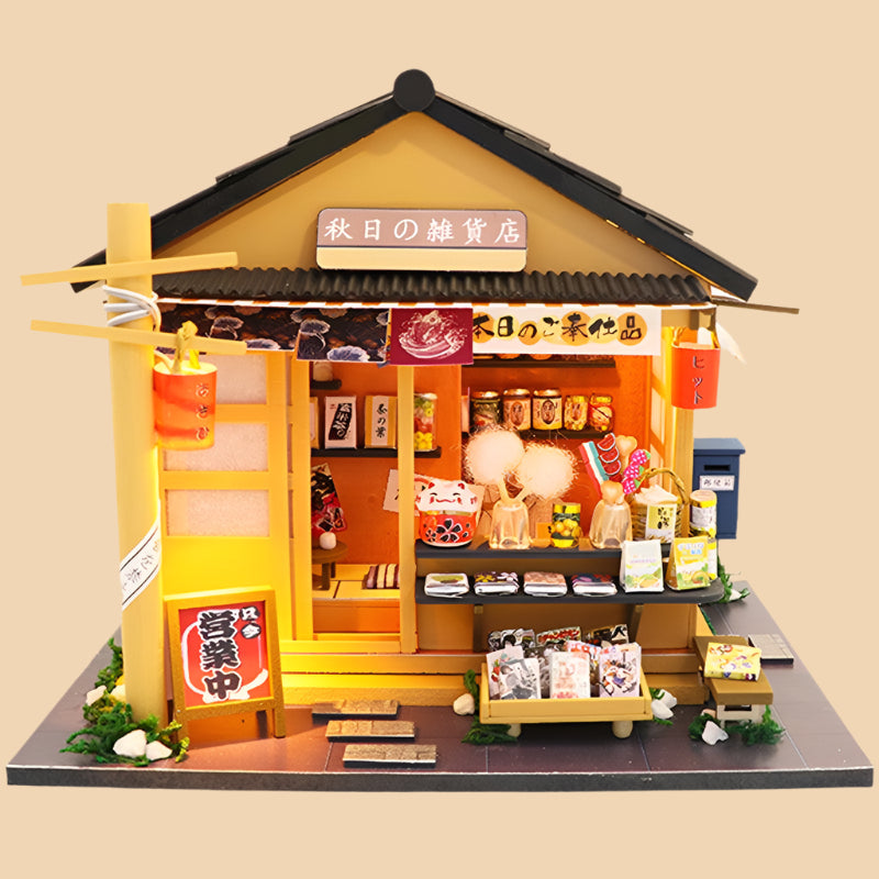 DIY Dollhouse Kit (Gocery store)