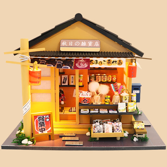 DIY Dollhouse Kit (Gocery store)