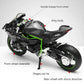 Elite 1:12 Ninja H2R Motorcycle Die-Cast Model